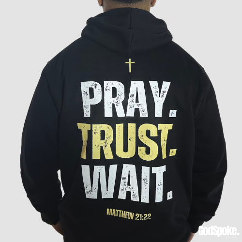 Pray. Trust. Wait Hoodie